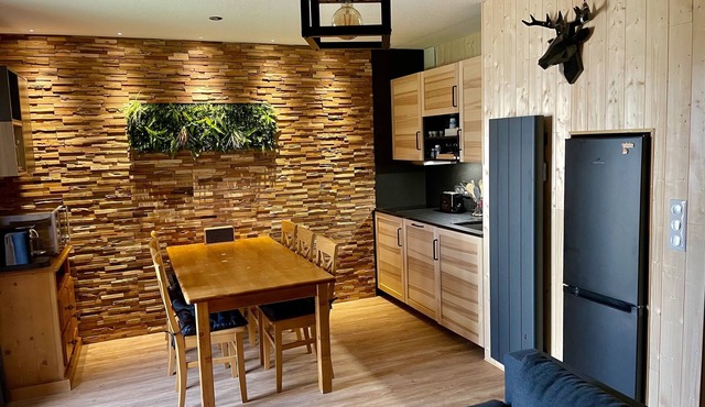 Charming La Joue Du Loup chalet (sleeps 6 to 8) 300 meters from the slopes in le devoluy