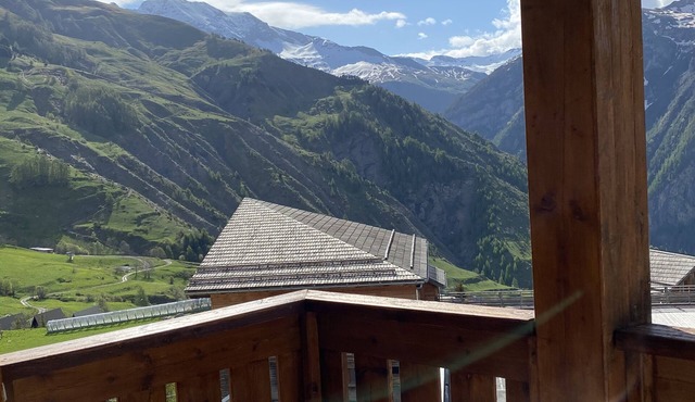 Comfortable 3P Pied de pistes, south-facing terrace with mountain view, garage-Chalet d'Orcieres in Orcières