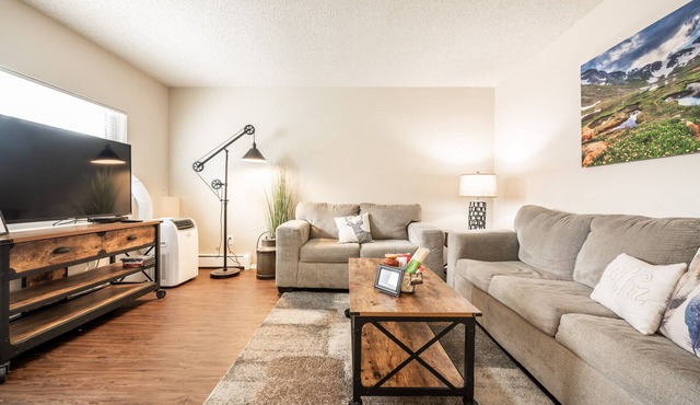 ❤Cozy in the Springs! 2 BR, Kitchen. 4 Guests!❤ in Colorado Springs