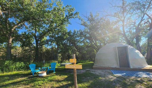 #D1 Stargazer Dome -1 Qn & Futon Bed-No pets please in Drumheller