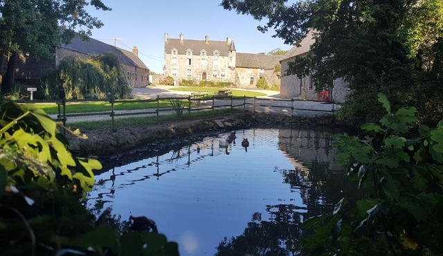 Elevage De La Hurie in Saint-Nicolas-de-Pierrepont