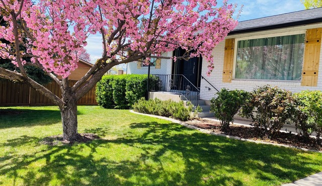 Enjoy Artisan Bread ❤️ Quiet Rambler + Historic Park, Firepit, Pets, 2 Car Garage in Orem