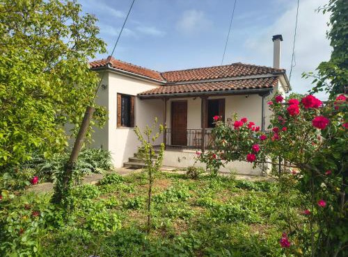 Feli's country house