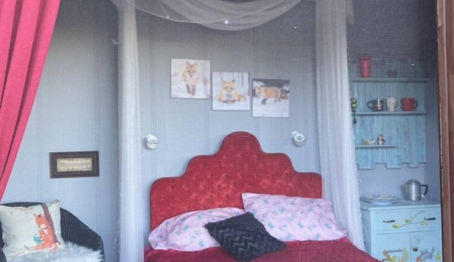 Foxy Den Chalet Cabin - 1 room Nestled in the valley Pet friendly! Off grid camp in St. Alberta
