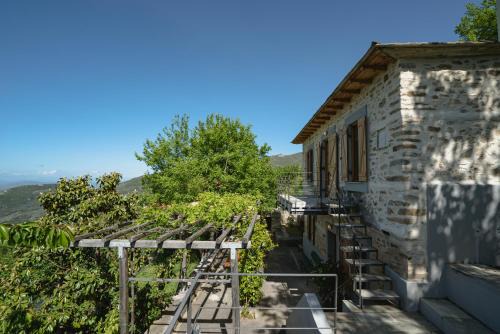 House Gecko - Mount Pelion in Agios Lavrentios