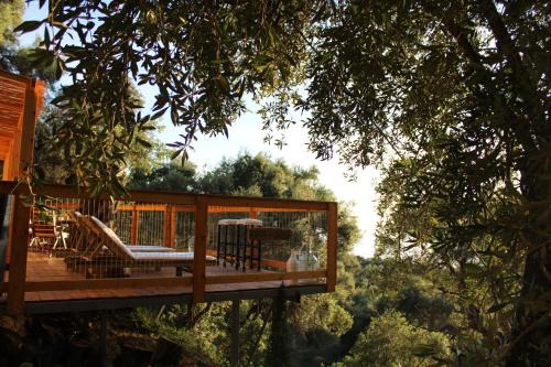 Nature Habitat and Artistic Room