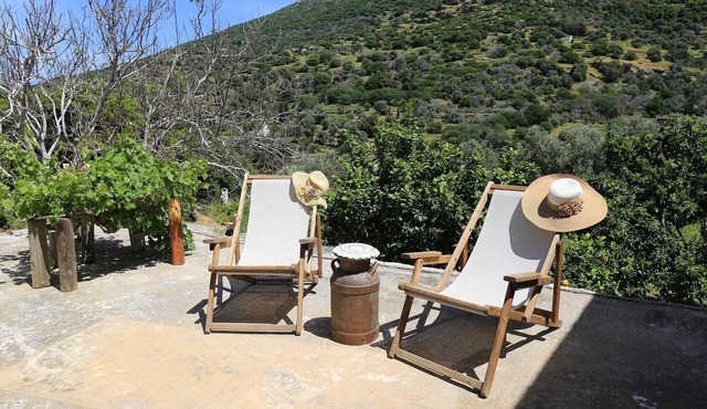 Oak Farm Guesthouse Junior
