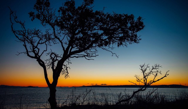 Ocean & Mountain View Villa! Center location! Entire house for groups! Sleep 14 in Nanaimo