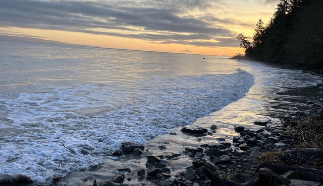 OceanFront Cottage, Beachwander for miles &/or explore the Olympic National Park in Sekiu