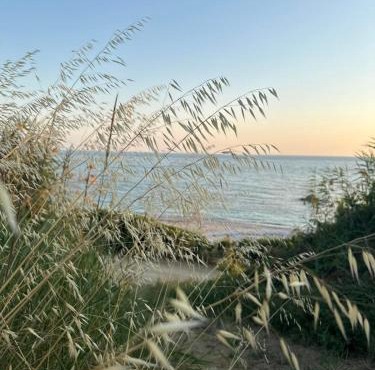 Olive House Seaside
