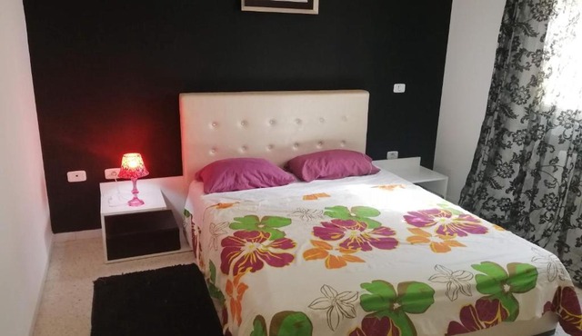 Palmeraies vacances Tunis