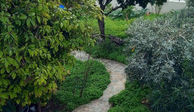 Pavlos Apartment - Leontari Stay with Garden View