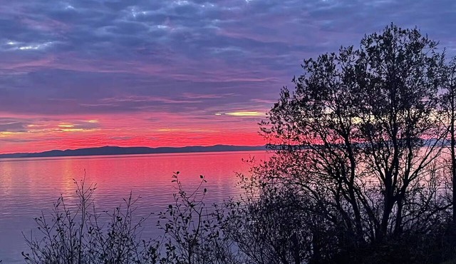 Private Rustic Birch Bay Hideaway with Acreage and Expansive Island Views! in Blaine
