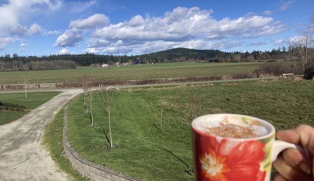 Relaxing Country Retreat close to all amenities. Great for the whole family! in North Saanich