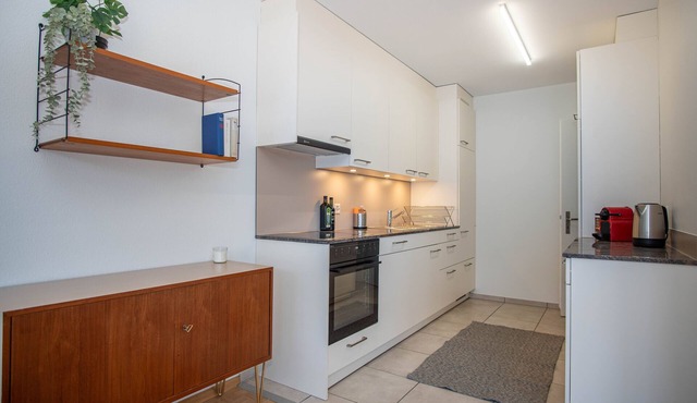 Renovated Designer Studio in Central Basel with free BaselCard in Basel