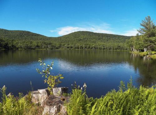 Serendipity Lake House in Windham