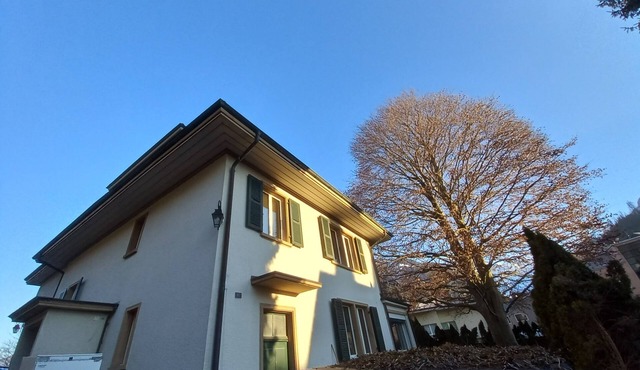 SKY Boutique Villa sleeps 4-10, Parking/Laundry, Close to Train/Bus/Town in Interlaken