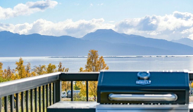 Spit and Mountain Views! Fall Openings! in Homer