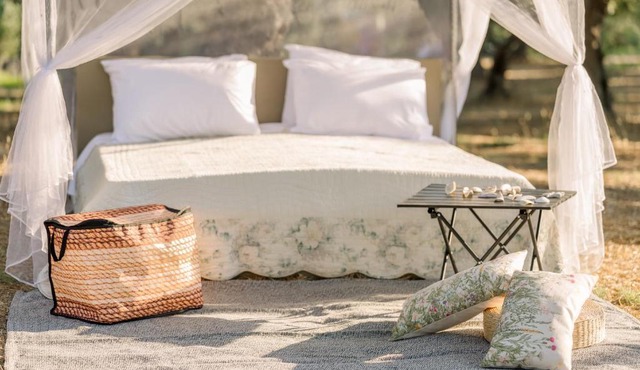 Star Sleep Elis Land Estate - Vasiliki