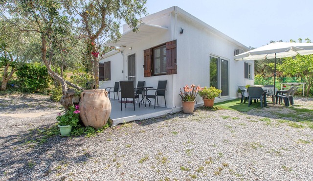 Stella's Olive Tree House