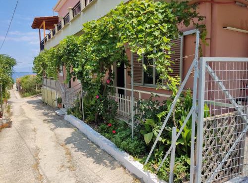 The Lemon House