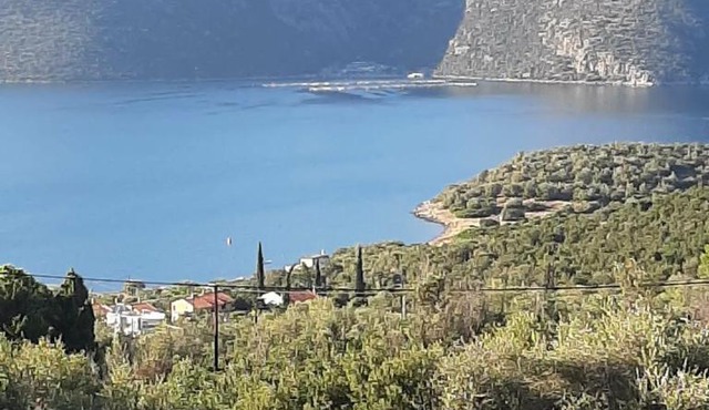 Villa Danae, Skorponeria Evoia