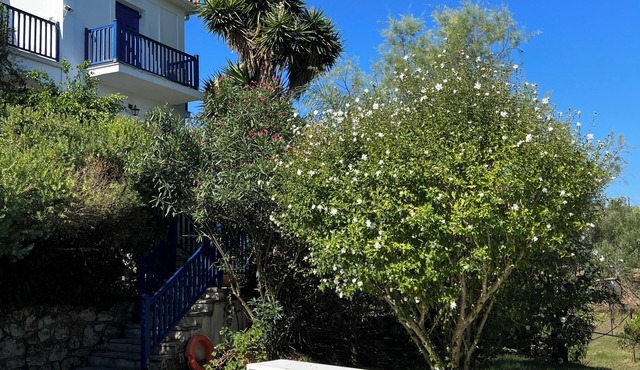 Villa Psarou Zakynthos - your home in the sun