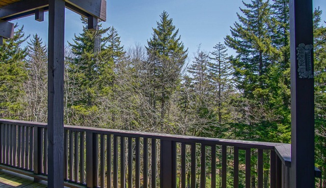 Whistlepunk #11: 2 Bedroom, 2 Bath: Wood fireplace.Central Location. in Snowshoe