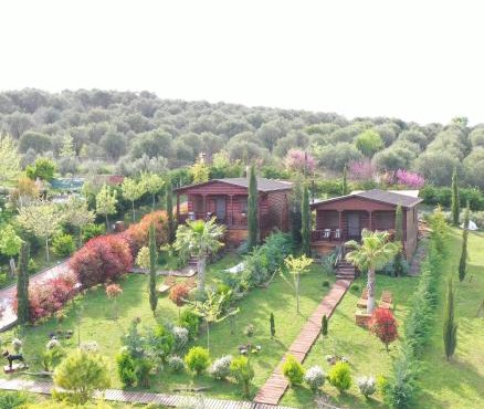 Wooden Luxury Villas