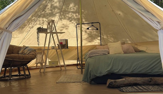 #Y3 Willow Tree - 1 Queen bed - No Pets Please in Drumheller