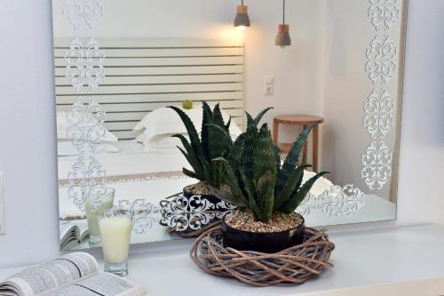 Apollon Boutique Hotel 