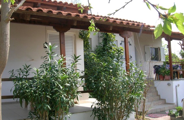 Calm Located Olive Grove The Beach Holiday 