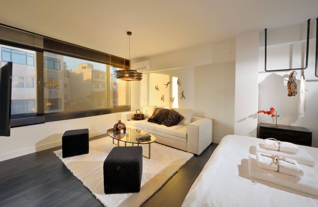 K&K's Ater Albus Junior Suite