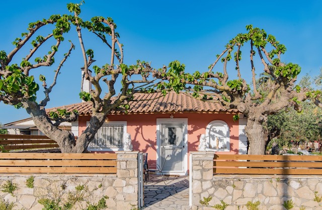 Olive Tree House …..