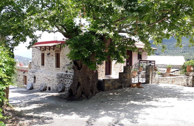 Koukounara 