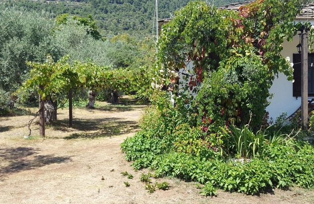 Traditional Villa with Wifi and Air Conditioning at only 150m from the Beach !
