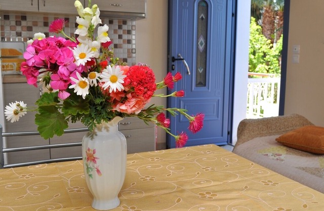 Tzivras Standard Apartment