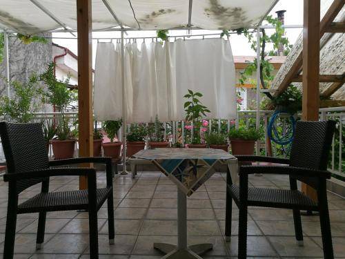 Sarti Hostel | 13 m² Hostel ∙ 2 guests