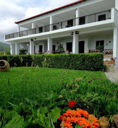 Kato Vrontou Bed & Breakfast | 20 m² Bed and breakfast ∙ 3 guests