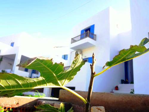 Aegiali House | 28 m² House ∙ 1 bedroom ∙ 2 guests