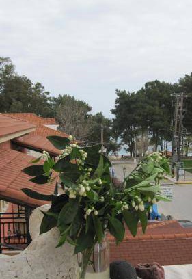 Skala Apartment | 70 m² Apartment ∙ 2 guests