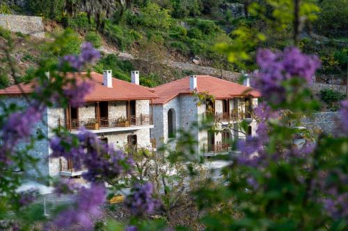 Trikolonoi House | Aeriko Guest House