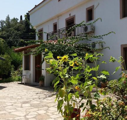 Kokkari Apartment | Alekos Rooms and Apartments