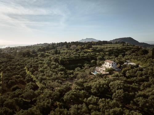 Tsilivi Villa | DiLa Grand Villa, a 5acres Secluded Sanctuary with Pool, By ThinkVilla