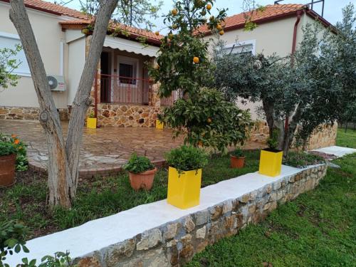 Avdira Apartment | Grandmas Cottage