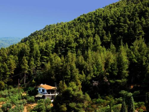 Sithonia Apartment | PHILIPPOS 2