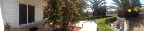 Eretria Apartment | Studio-Appartement in Magoula mit Grill und Garten