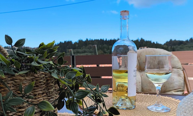 Lazarata Villa | Villa Stone Deluxe Lefkada nis ideal for families or couples at Lefkada.
