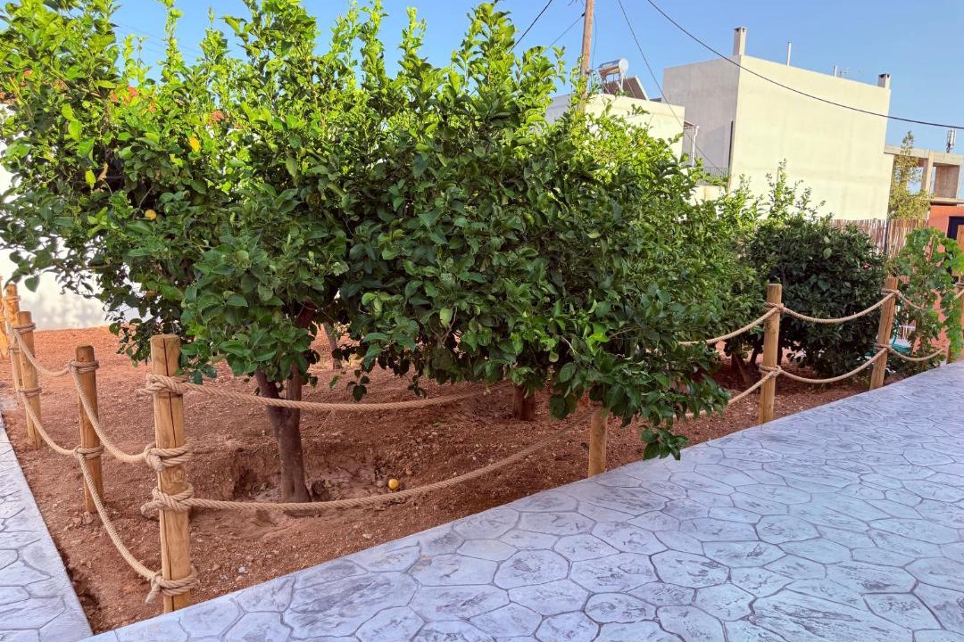 Pikermi Apartment | LemonTreesHouses 1 Peaceful Stay Near Athens Airport & Rafina Port