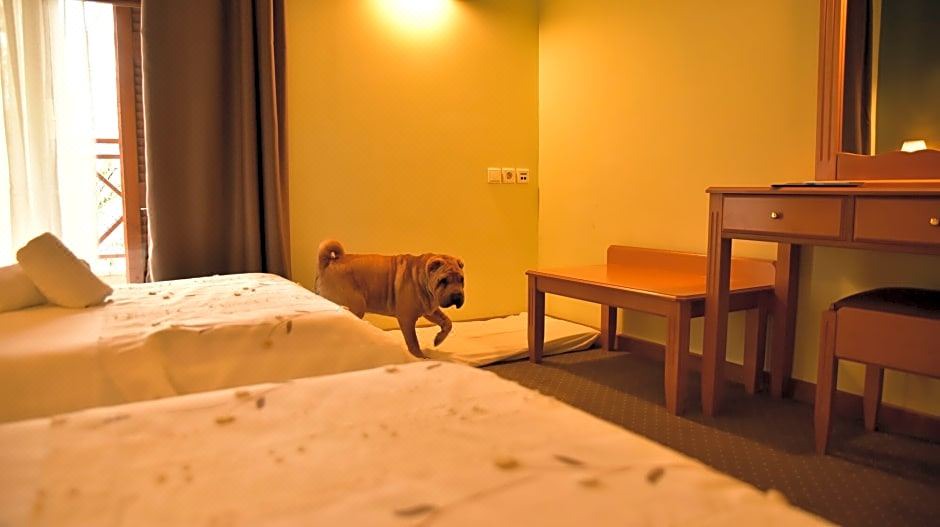 Photo of Bedroom in Klitoria